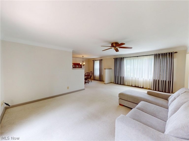 8249 Broadmoor Road, Mentor, OH - Photo 4
