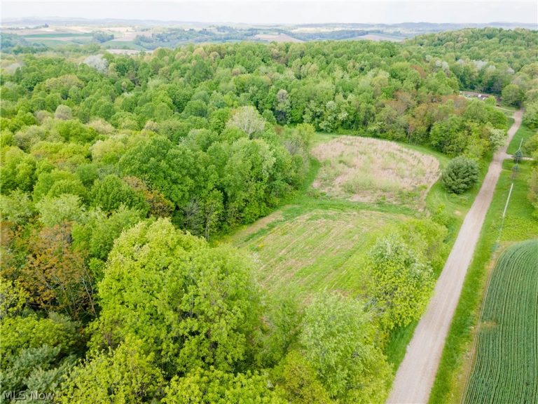 Township Road 250, Newcomerstown, OH - Photo 5