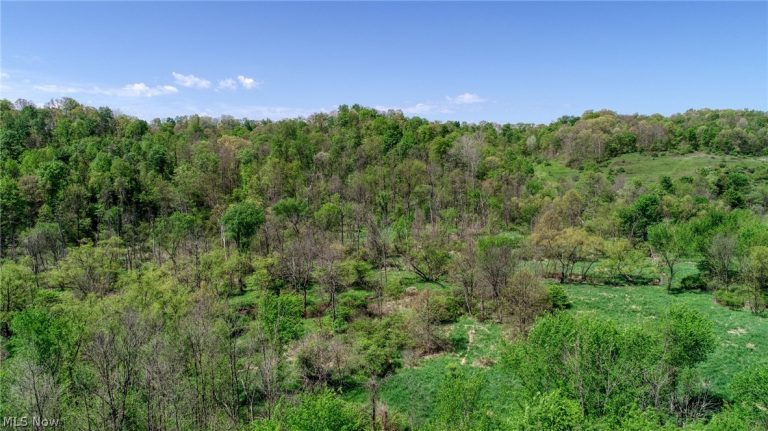 6820 Crane Run Road, Cumberland, OH - Photo 2