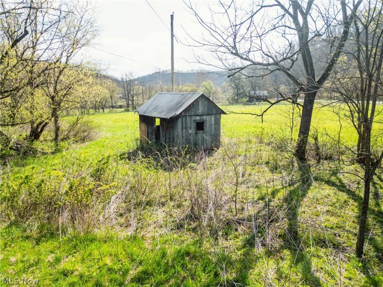 47691 Captina Highway Road, Alledonia, OH - Photo 4