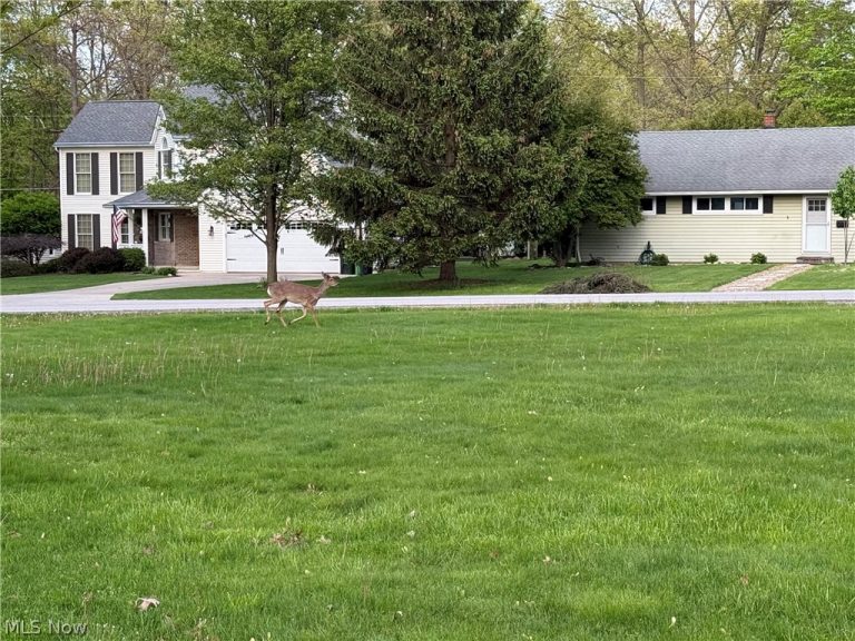 154 Tomahawk Drive, Avon Lake, OH - Photo 6