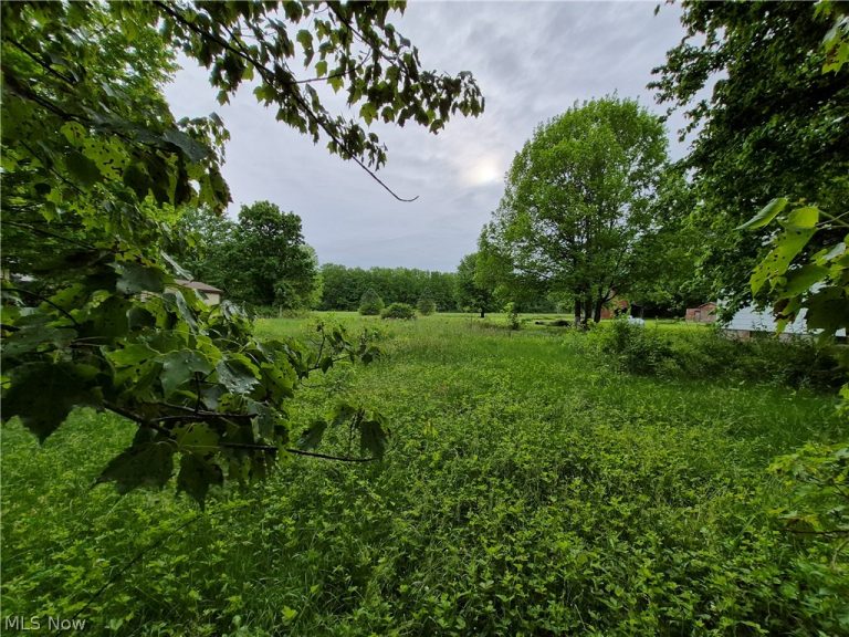 Newell Ledge Road, Garrettsville, OH, 44231