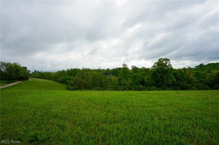 Van Fossen Ln, Chesterhill, OH - Photo 5