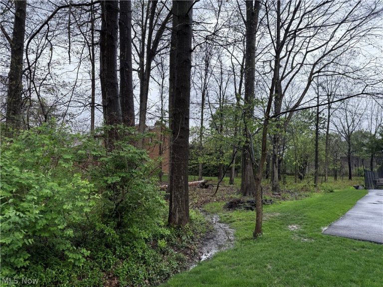 Vincent Road, Silver Lake, OH - Photo 2