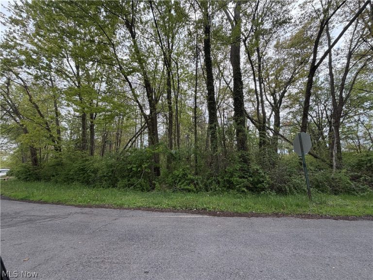 1445 Parkview Drive, Madison, OH - Photo 6