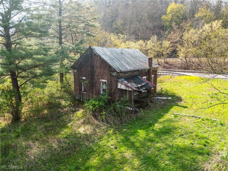 47691 Captina Highway Road, Alledonia, OH - Photo 3