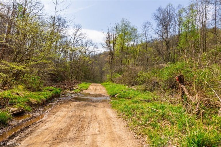 Twp Rd 63 Deans Fork Rd #4, Whipple, OH - Photo 4