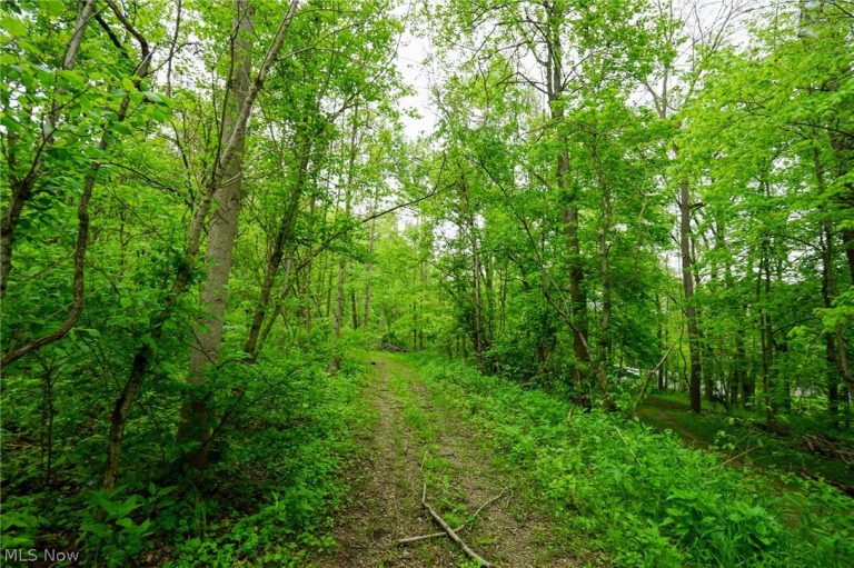Ervin Ln, Stockport, OH, 43787