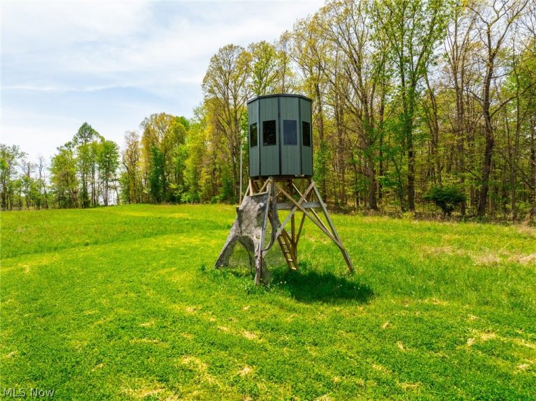 6268 Kings Ridge Road, Newcomerstown, OH - Photo 4