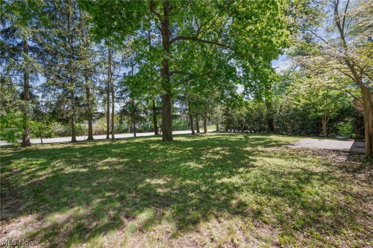 10137 Johnnycake Ridge Road, Concord Twp, OH - Photo 6