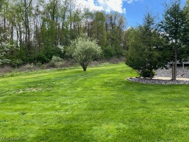 5342 Clingan Trails Boulevard, Struthers, OH - Photo 5