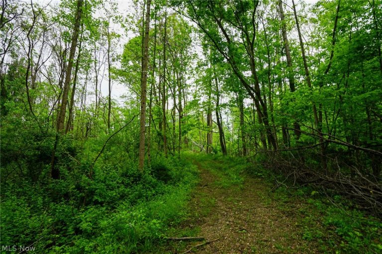 Ervin Ln, Stockport, OH - Photo 3