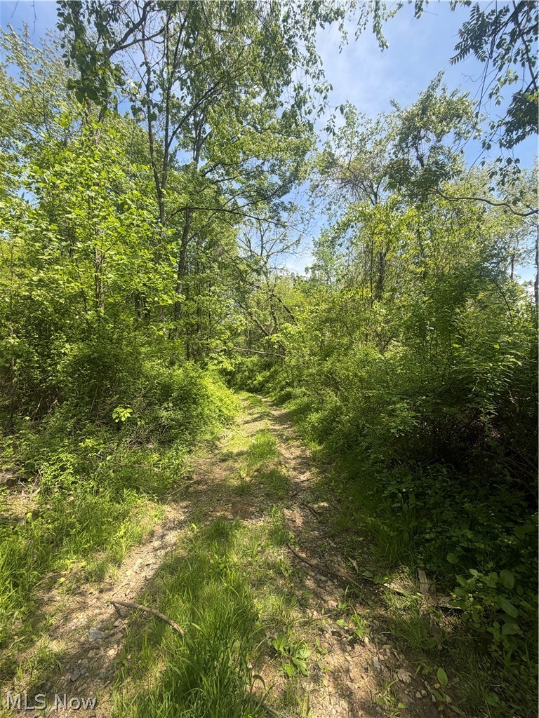 SE ROBINHOOD RD, Dennison, OH - Photo 4