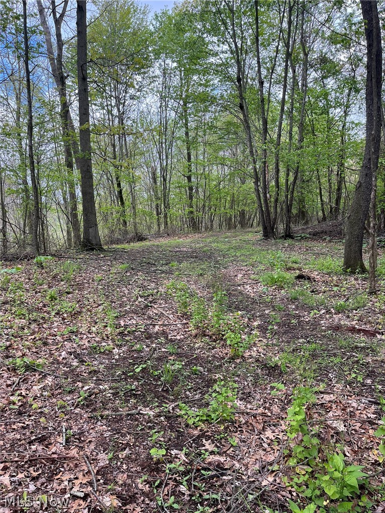 Sandy Ridge Road, Tippecanoe, OH - Photo 5