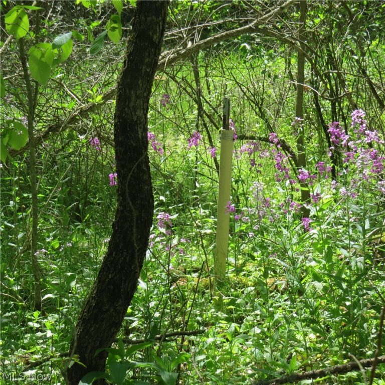 Montero Road, Carrollton, OH - Photo 5