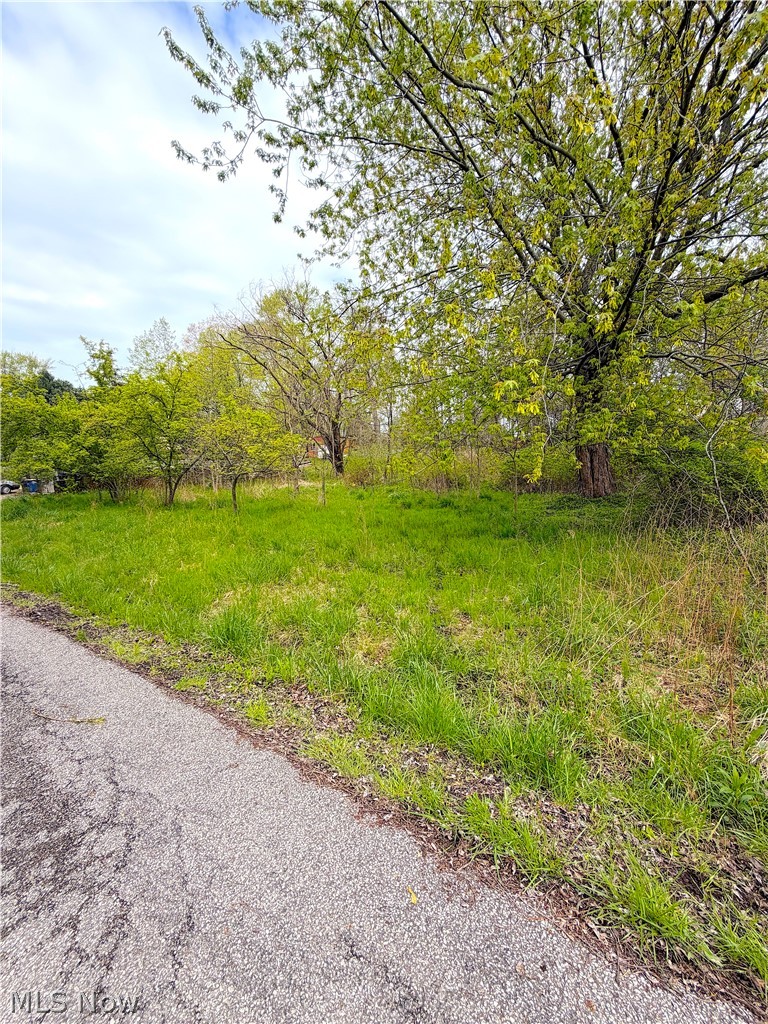 7th Street, Ashtabula, OH - Photo 3