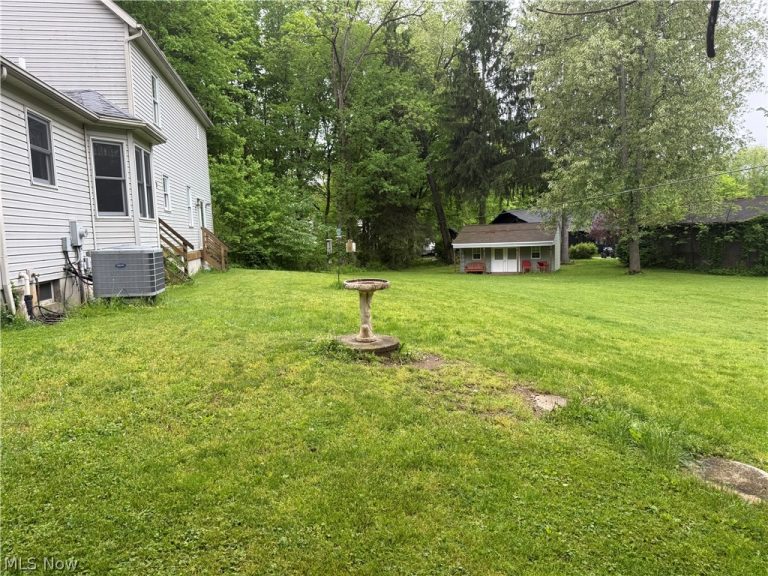 11165 Peck Road, Mantua, OH - Photo 8