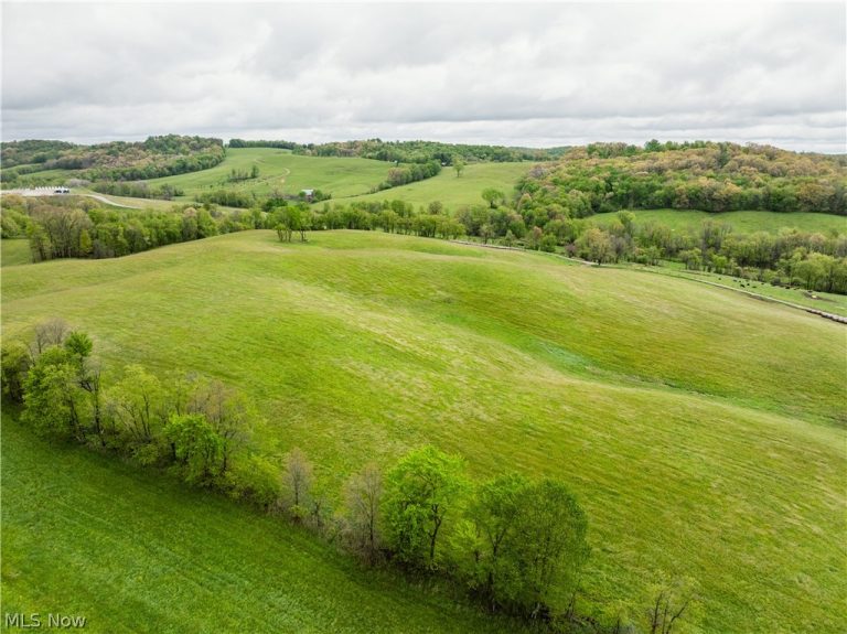 Timmerman Road, Bowerston, OH - Photo 6