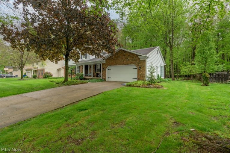 7749 Silver Fox Drive, Youngstown, OH - Photo 3
