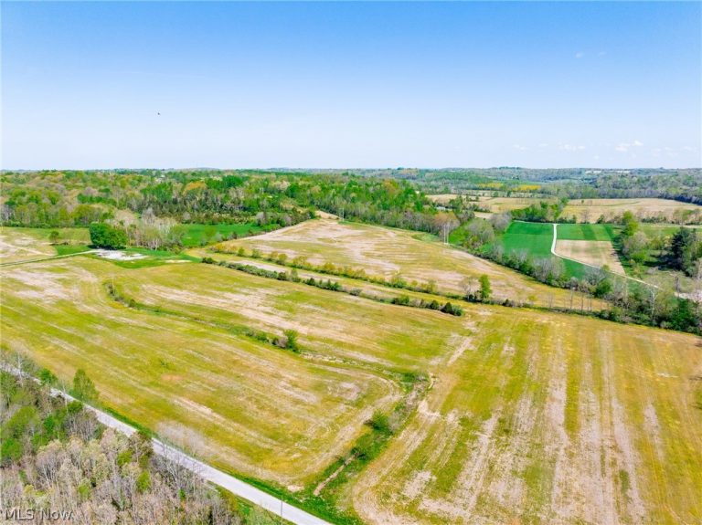 9651 Reno Lane, Hillsboro, OH - Photo 4