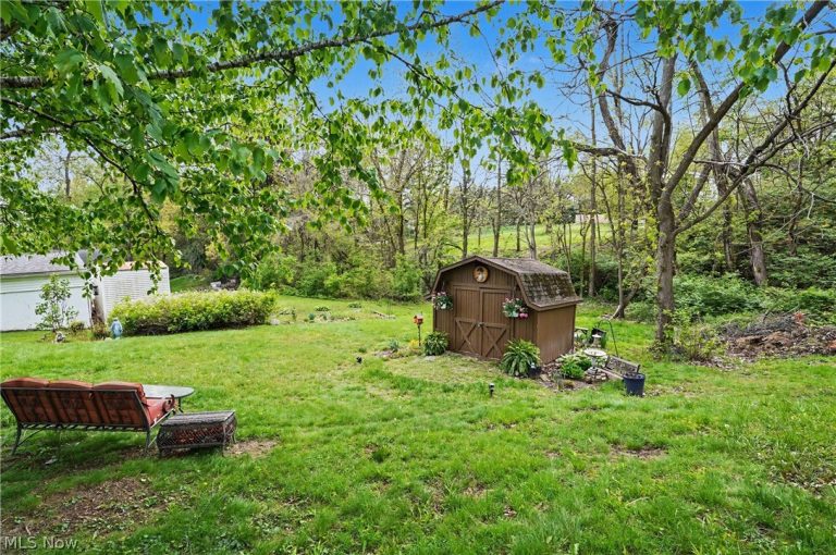 123 Hickin Street, Rittman, OH - Photo 6