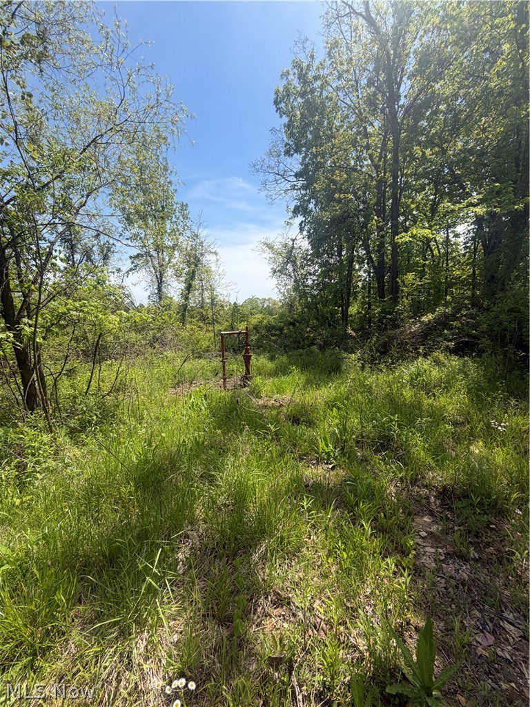 SE ROBINHOOD RD, Dennison, OH - Photo 5