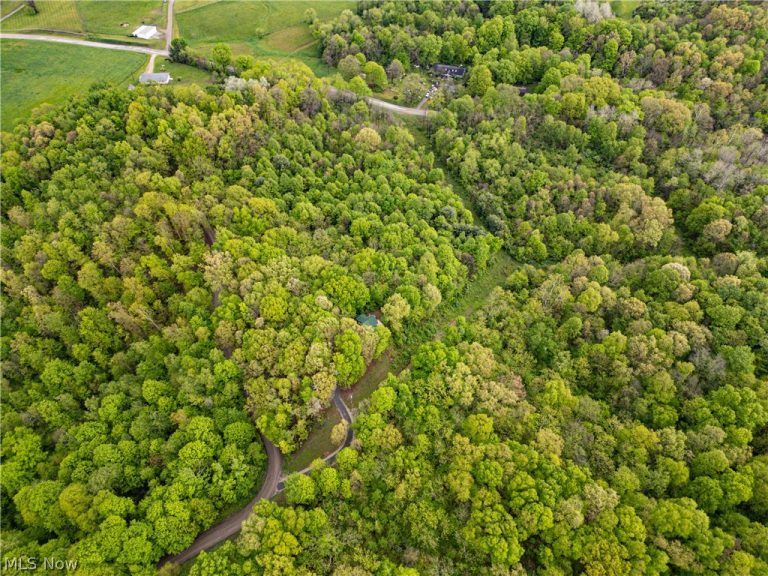 72420 Parker Road, Kimbolton, OH - Photo 4