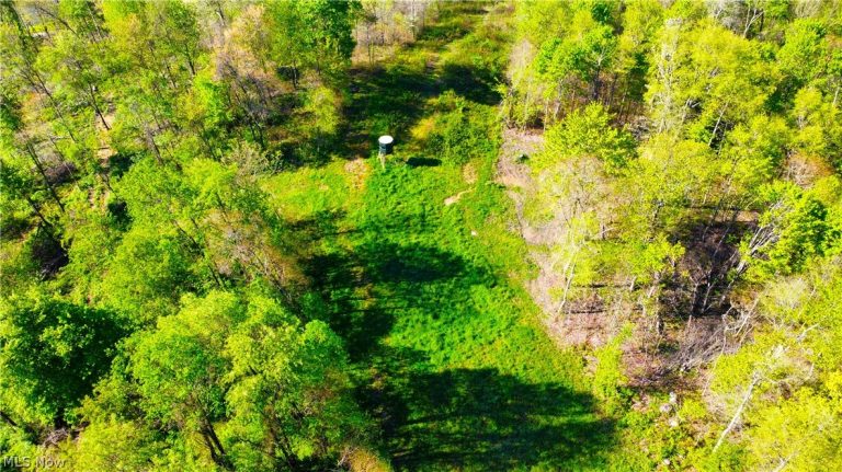 Patton Road, Jewett, OH - Photo 4