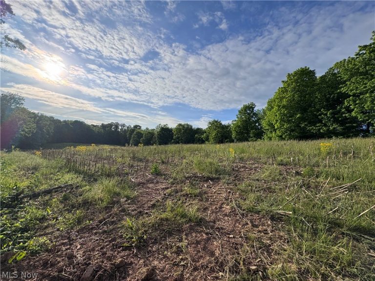 Walker Hill Road #11+-, Stockport, OH - Photo 2