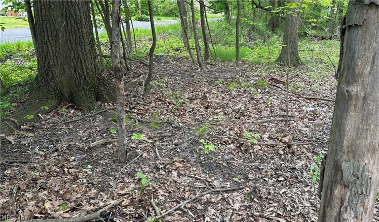 Ridley Avenue, Youngstown, OH - Photo 2