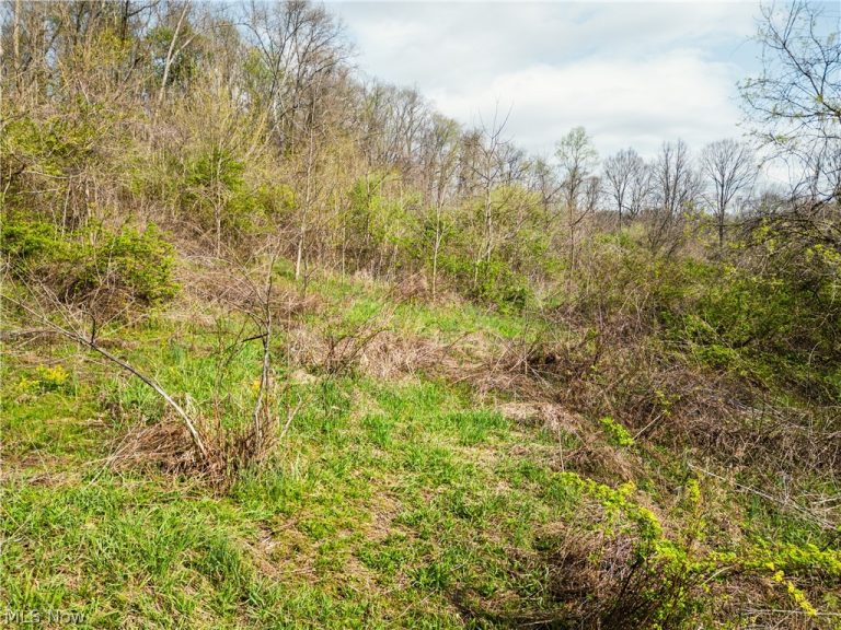 Captina Highway Road, Alledonia, OH, 43902