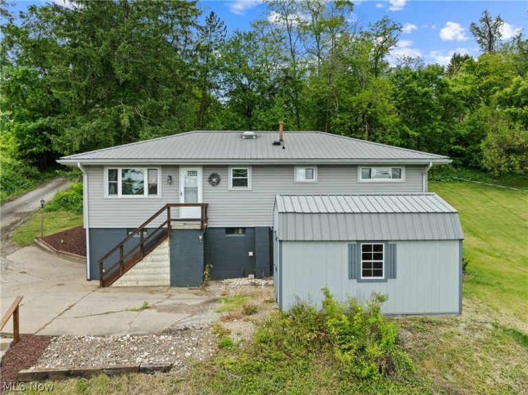 69641 Holley Street, Martins Ferry, OH, 43935