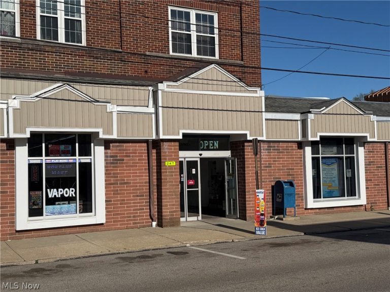 247 Chestnut Street, Ravenna, OH - Photo 3