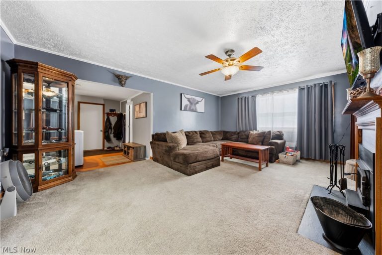 6040 Reynolds Road, Mentor on the Lake, OH - Photo 6