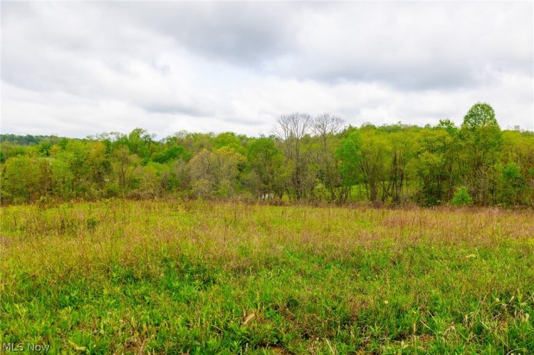 53320 County Road 425, Fresno, OH - Photo 4