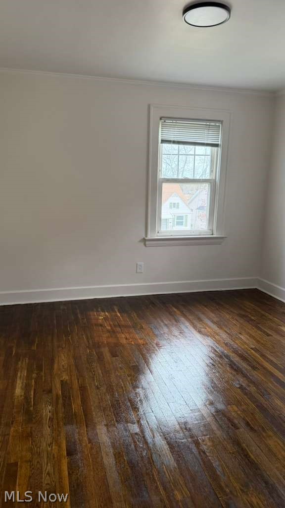 10006 Plymouth Avenue, Garfield Heights, OH - Photo 3