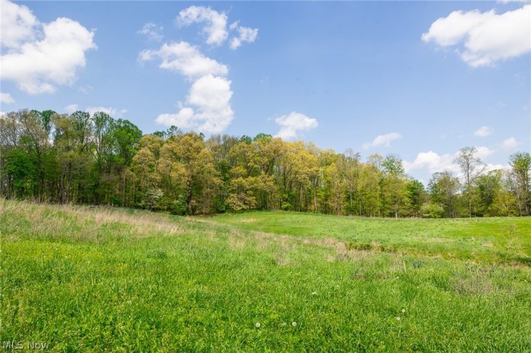 9651 Reno Lane, Hillsboro, OH - Photo 4