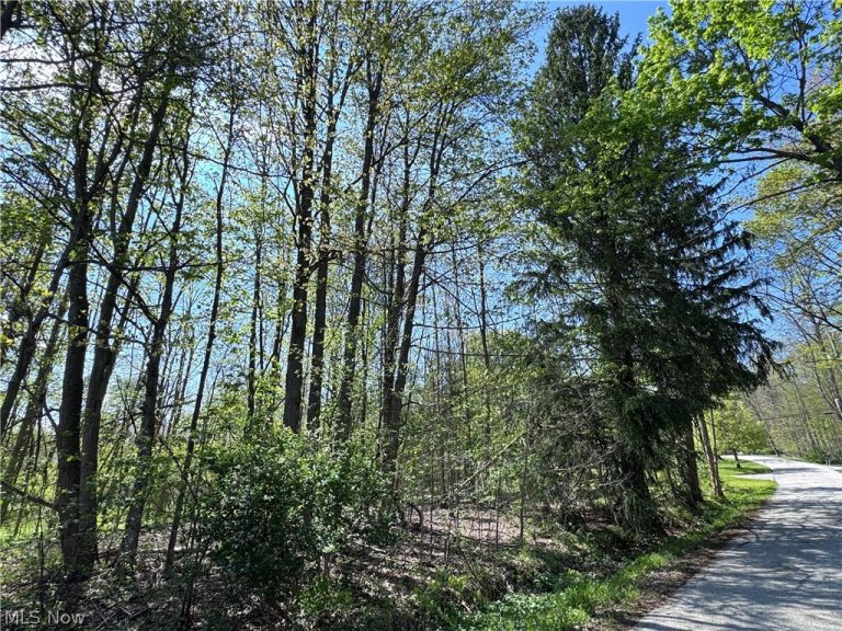 11664 Chestnutdale Road, Chardon, OH - Photo 4