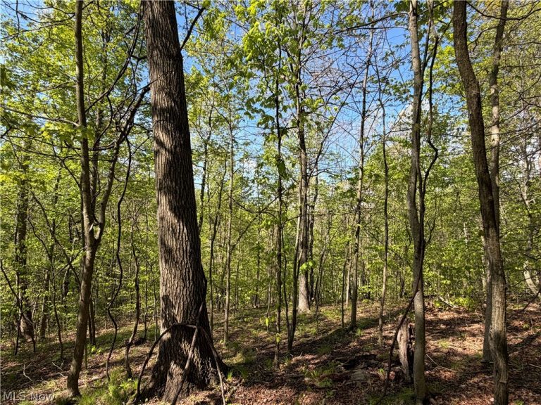 Township Road 290, Coshocton, OH - Photo 3