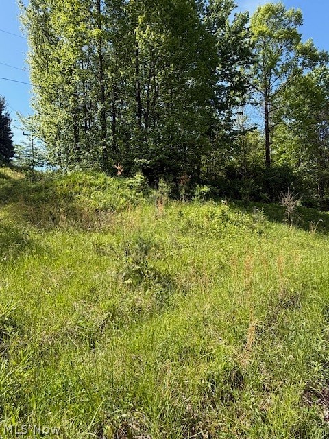 Scott Dr, Newcomerstown, OH - Photo 3