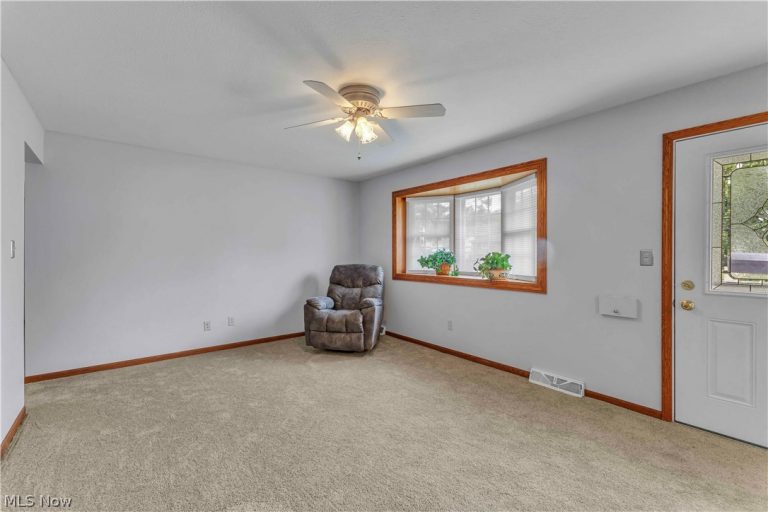 316 Thelma Drive, Sheffield Lake, OH - Photo 3