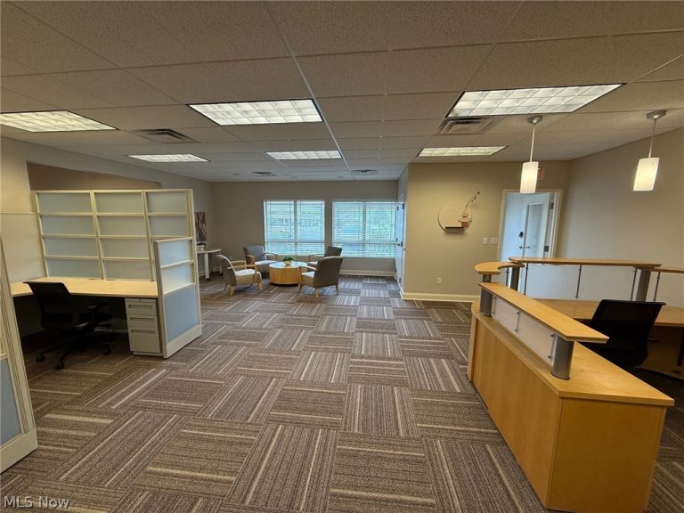 31320 Solon Road #19, Solon, OH - Photo 4