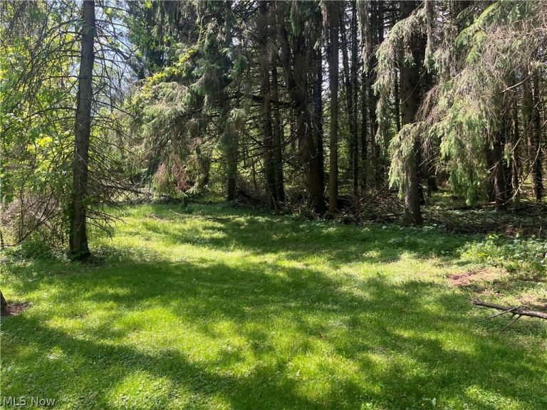 High Mill Avenue, Clinton, OH, 44216