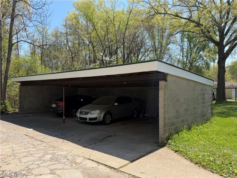 223 Kendall Avenue, Campbell, OH - Photo 4