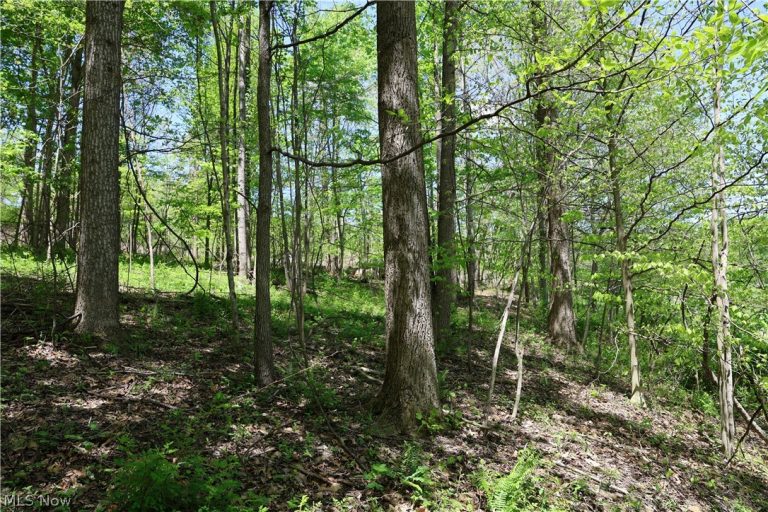 County Road 33, Warsaw, OH - Photo 4