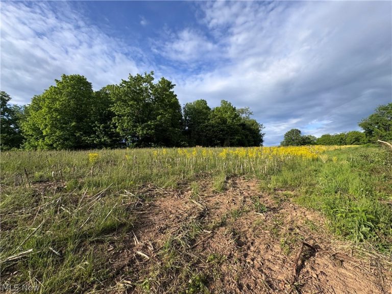 Walker Hill Road #11+-, Stockport, OH, 43787