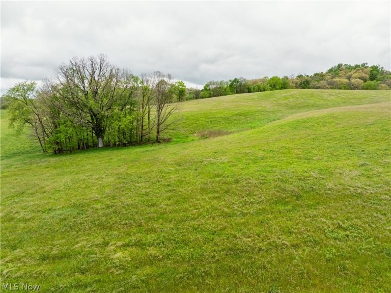 Timmerman Road, Bowerston, OH - Photo 5