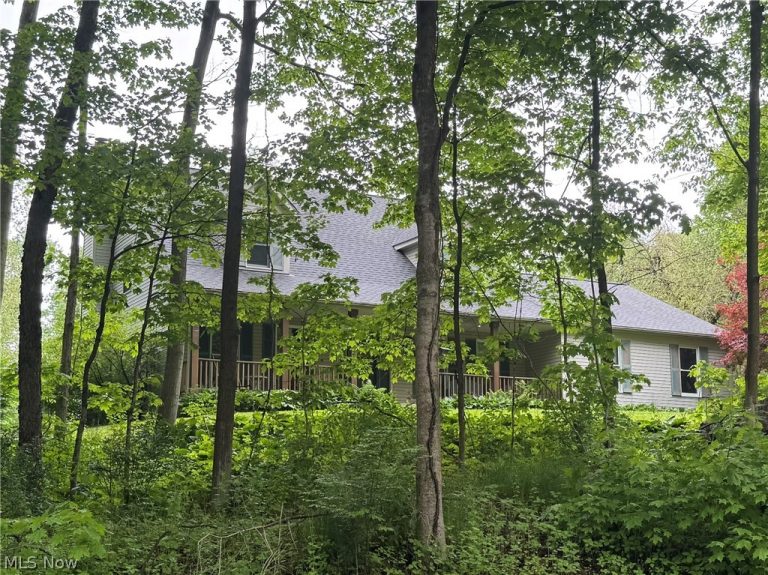 11165 Peck Road, Mantua, OH - Photo 6