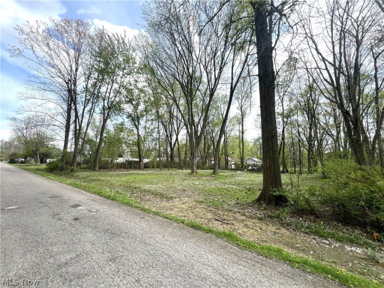 Afton Avenue, Lake Milton, OH - Photo 4