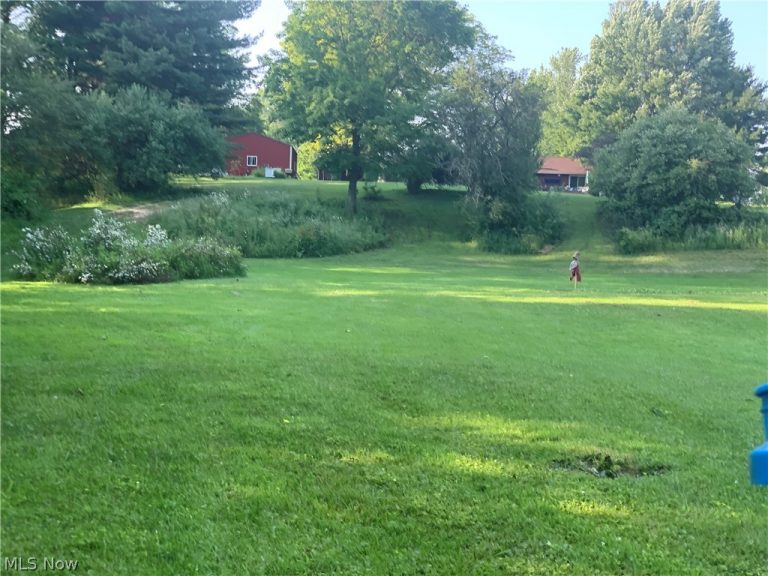 46457 Whitney Road, Wellington, OH - Photo 8